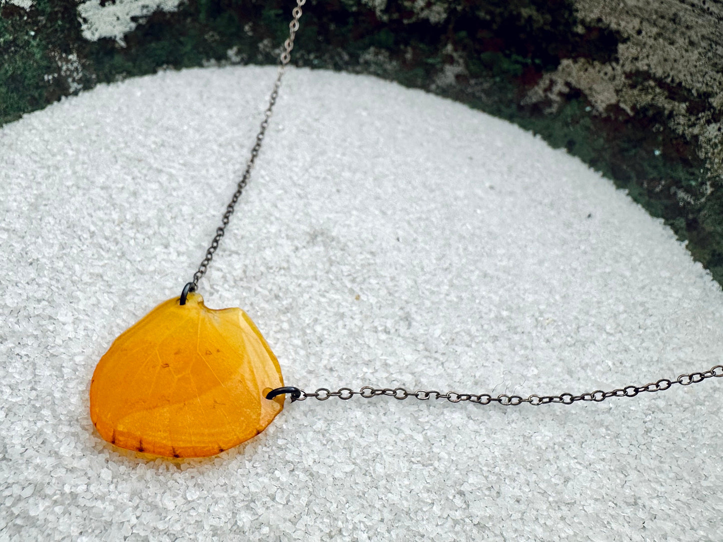 Real Butterfly Wing Necklace, Orange Barred Sulphur Butterfly (Phoebis philea) on sterling silver cable chain