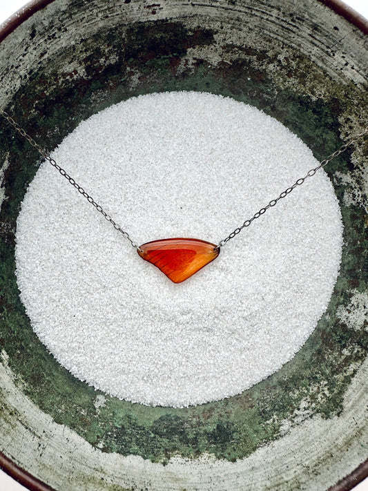 Orange Albatross Real Butterfly Necklace (Apias Nero) Sterling Silver - real wings ethically sourced