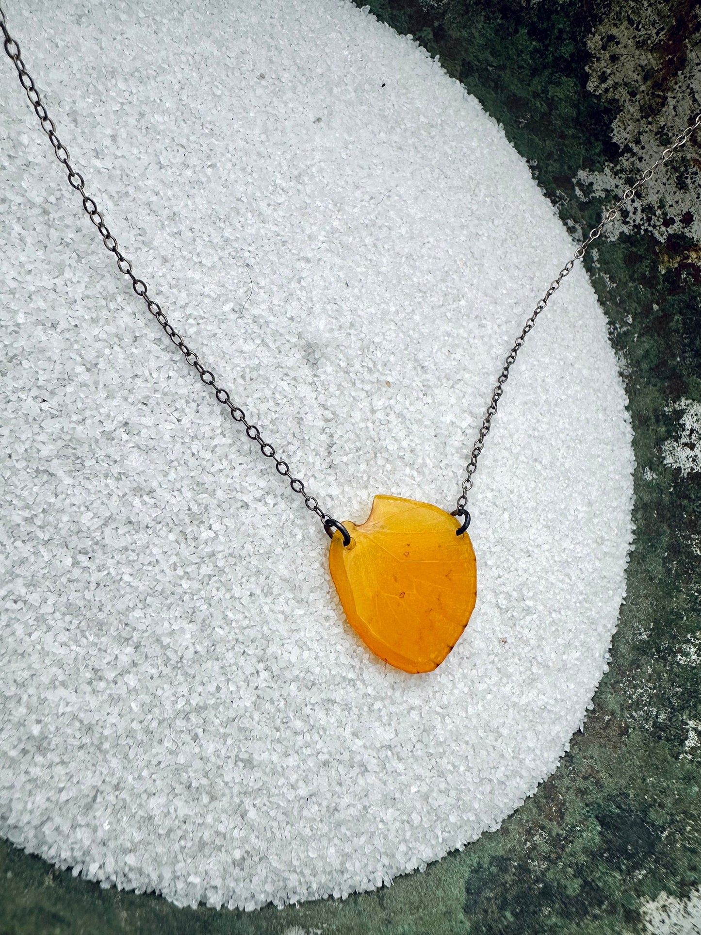 Real Butterfly Wing Necklace, Orange Barred Sulphur Butterfly (Phoebis philea) on sterling silver cable chain
