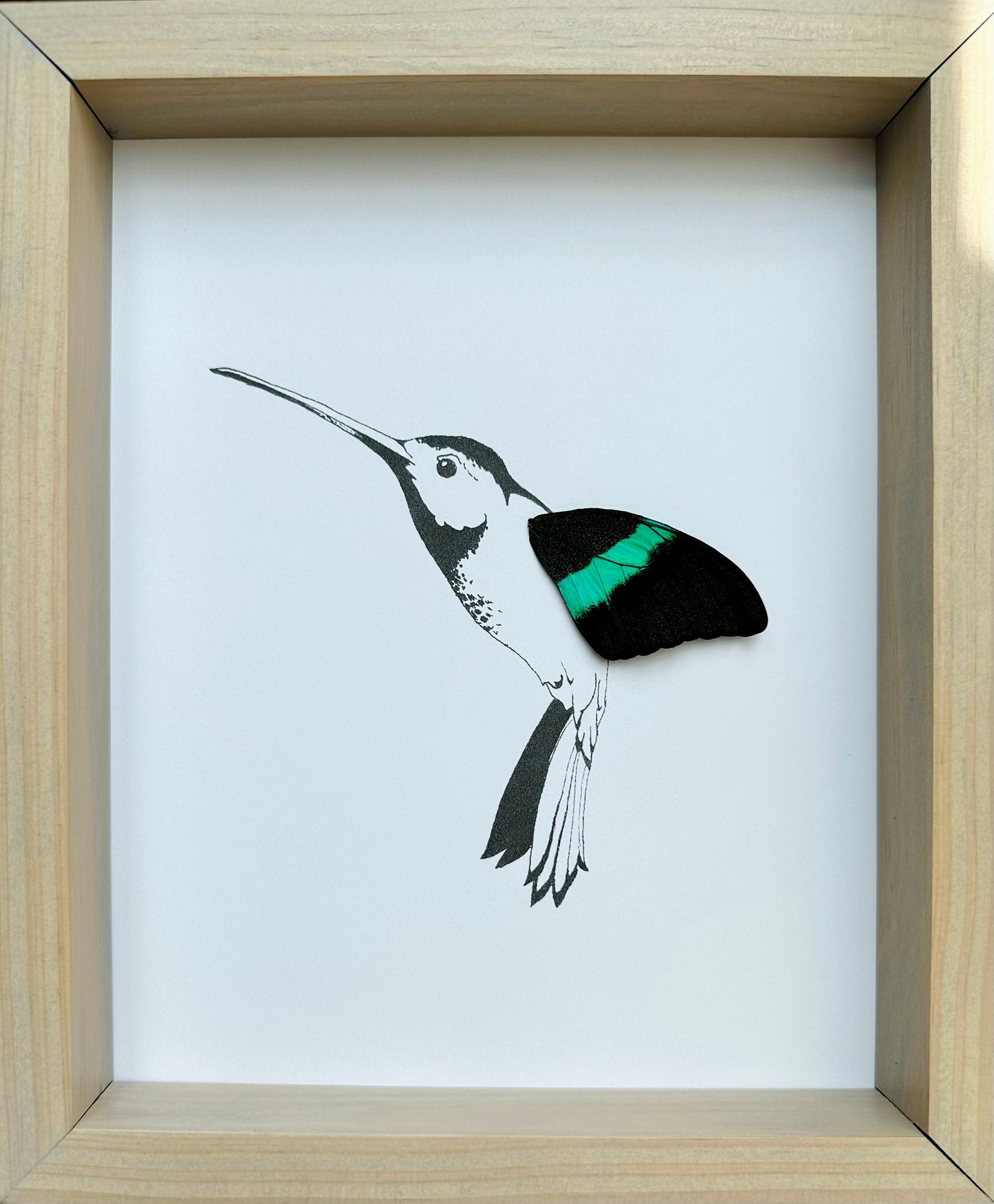 Hummingbird Real Butterfly Wing Framed Art Ethically Sourced made in MN USA - Holly Ulm - Isms Butterfly Conservation Art