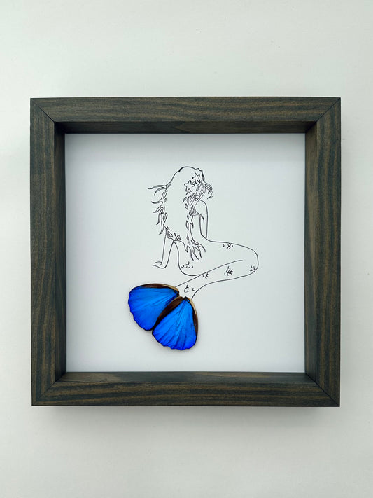 Mermaid Real Butterfly Wing Framed Art Ethically Sourced Made in MN USA - Holly Ulm - Isms Butterfly Conservation Art
