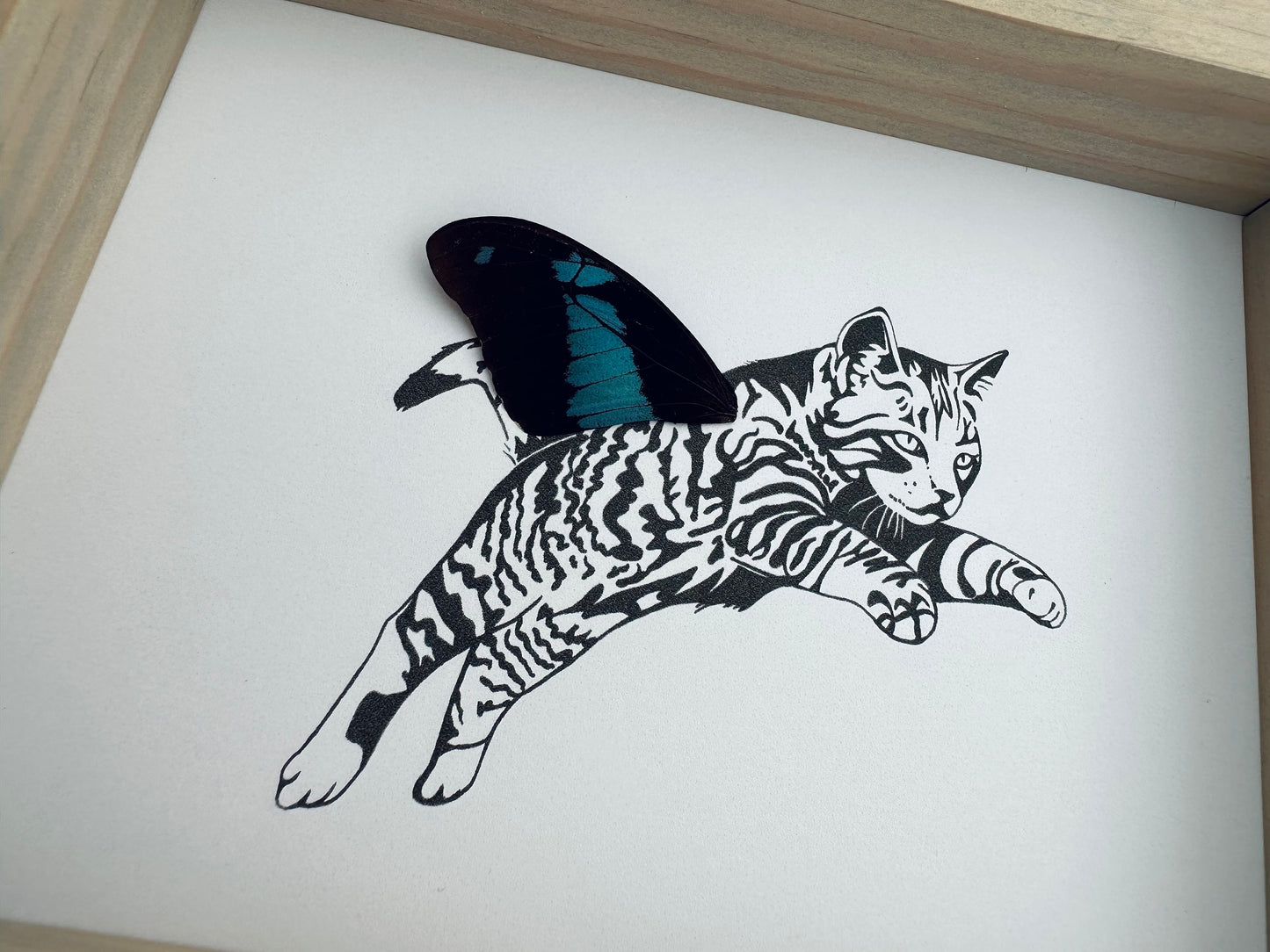 Tabby Striped Cat Real Butterfly Wing Art Ethically Sourced Made in MN USA - Holly Ulm - Isms Butterfly Conservation Art
