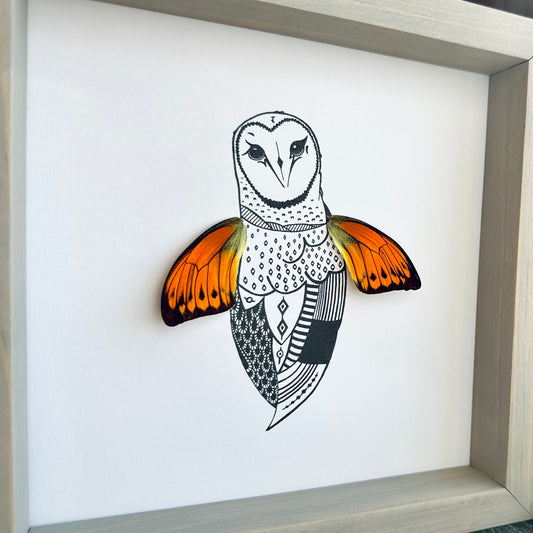 Barn Owl Real Butterfly Wing Framed Art Ethically Sourced Made in MN USA - Holly Ulm - Isms Butterfly Conservation Art