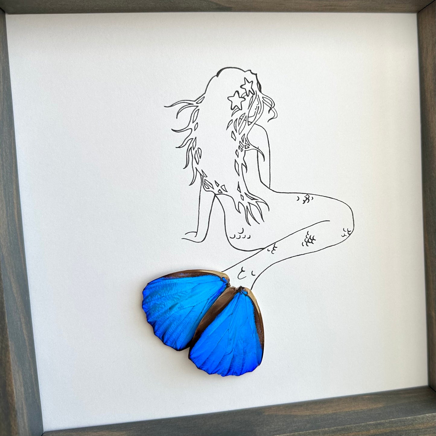 Mermaid Real Butterfly Wing Framed Art Ethically Sourced Made in MN USA - Holly Ulm - Isms Butterfly Conservation Art