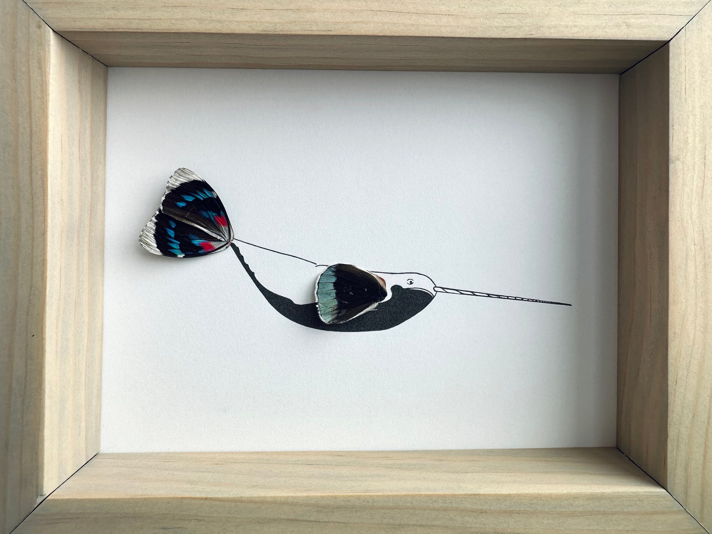 Narwhal Real Butterfly Wing Art Ethically Sourced Made in MN USA - Holly Ulm - Isms Butterfly Conservation Art
