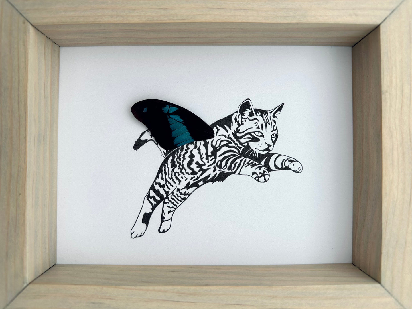 Tabby Striped Cat Real Butterfly Wing Art Ethically Sourced Made in MN USA - Holly Ulm - Isms Butterfly Conservation Art